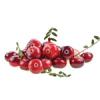 Cranberry extract