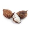 Shea tree butter
