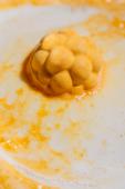 From memories to moods: how aromas shape our perception of the world