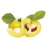 Quince extract