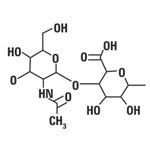 Hyaluronsäure