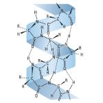 Hydrolisiertes Keratin