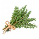 Thyme extract