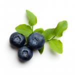 Blaubeeren Marmelade