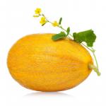 Melonensaft