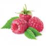 Raspberry extract