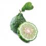 Bergamot essential oil