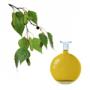 Birch leaf extract