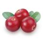 Cranberry aroma