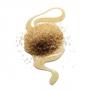 Spherical exfoliating particles
