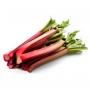 Rhubarb extract