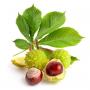 Horse chestnut extract