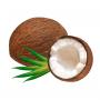 Coconut oil