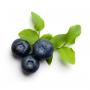 Blaubeersaft