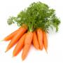Carrot juice