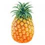 Pineapple juice