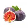 Fig fruit extract 