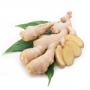 Ginger essential oil