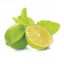 Lime essential oil