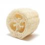 Loofah