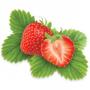 Strawberry seeds