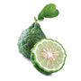 Bergamonte